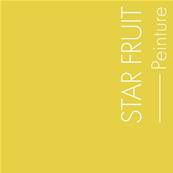 Peinture - "La Premium" - Star-Fruit - 10 Litres