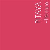 PEINTURE MERCADIER - "L'EXTRA" - Pitaya
